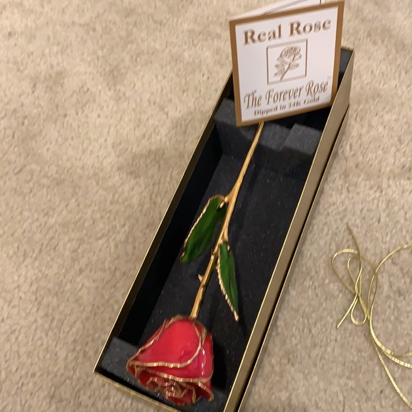 Forever Rose - Picture 2 of 9